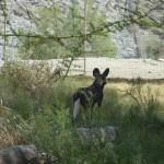 FITS_186 (May 04, 2019)